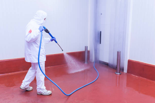 Pre-Holiday Cleaning in Homeland Park, SC