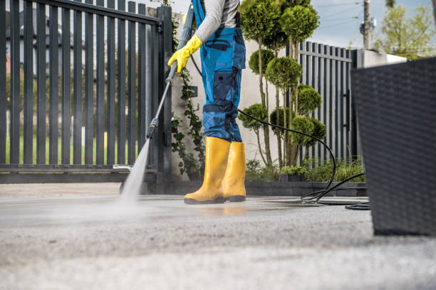 Best Roof Washing  in Homeland Park, SC